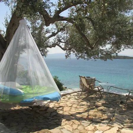 'old Olives' - Seafront Garden Flat *