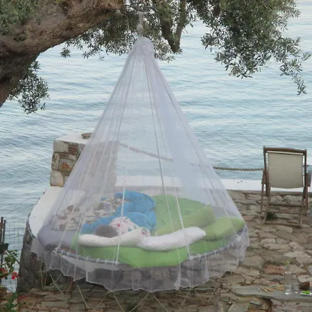 'old Olives' - Seafront Garden Flat Tatil Evi