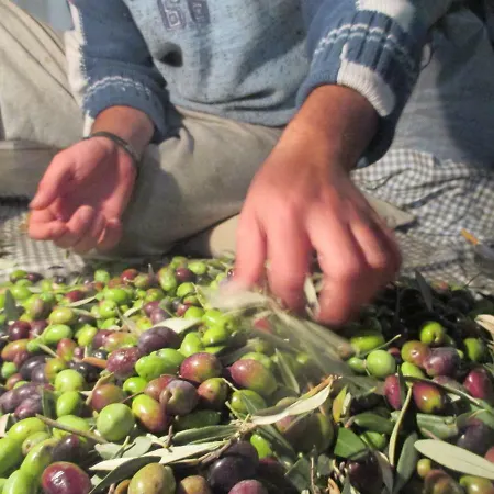 Дом отдыха 'old Olives' - Seafront Garden Flat *